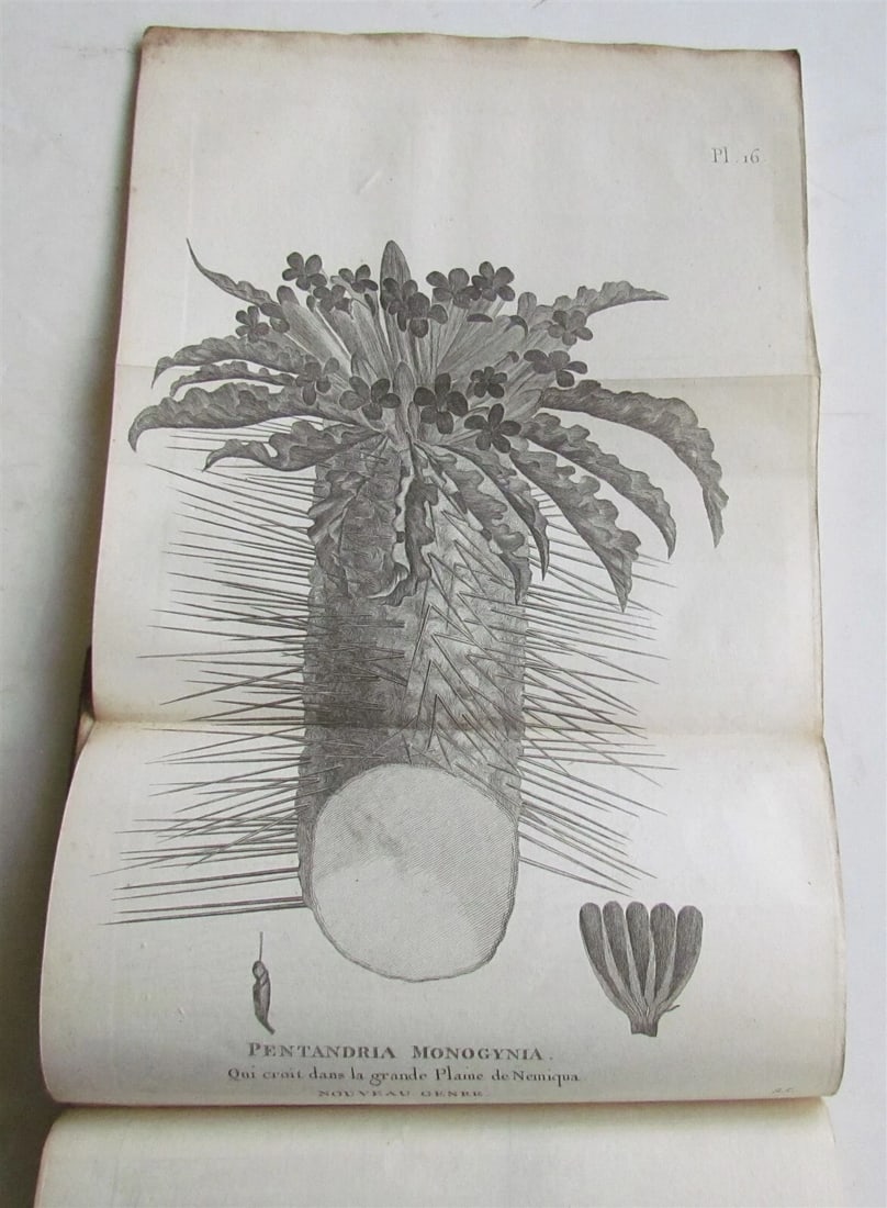 1790 AFRICA TRAVELS Voyages dans le pays des Hottentots ILLUSTRATED antique RARE - 5