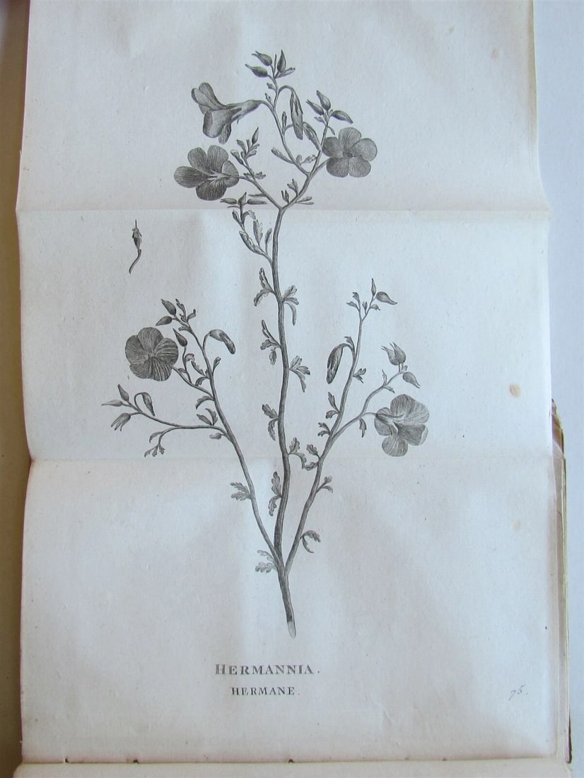 1790 AFRICA TRAVELS Voyages dans le pays des Hottentots ILLUSTRATED antique RARE - 8