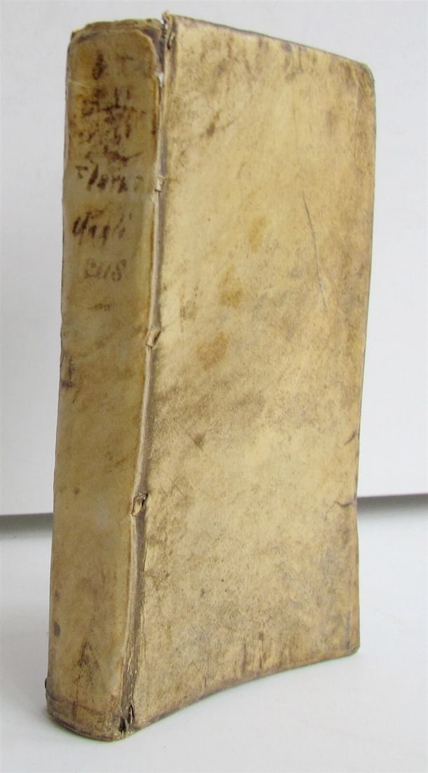 1652 HISTORY OF ENGLISH AFFAIRS antique VELLUM Florus Angelicus Rerum Anglicarum - 2