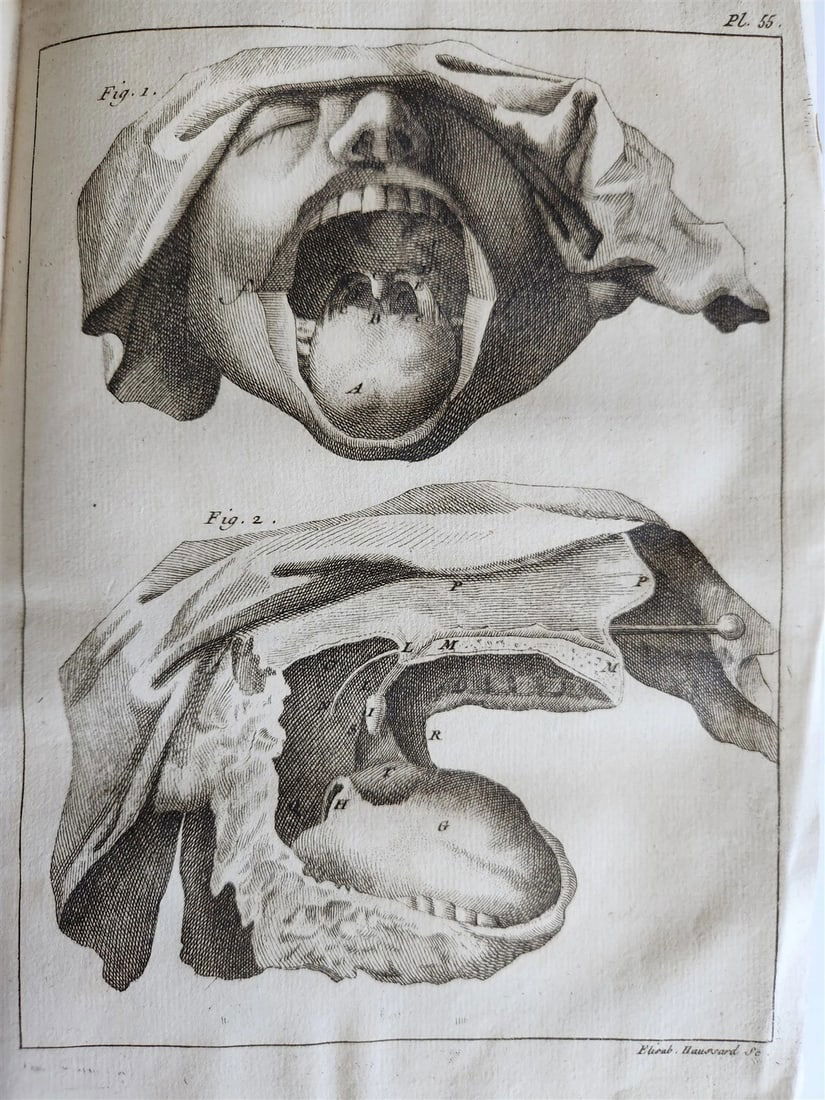 1750 MEDICAL TREATISE ILLUSTRATED ANATOMY by Francois PLANQUE antique V. 3: Title: 1750 MEDICAL TREATISE ILLUSTRATED ANATOMY by Francois PLANQUE antique V. 3 Description: Francois PLANQUE Bibliotheque choisie de medecine, tiree des ouvrages periodiques, tant francois qu'etran