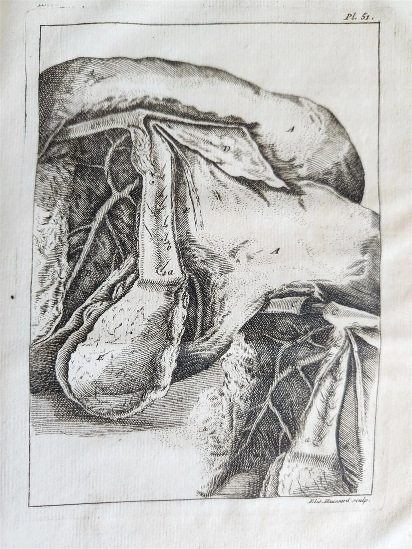 1750 MEDICAL TREATISE ILLUSTRATED ANATOMY by Francois PLANQUE antique V. 3 - 5