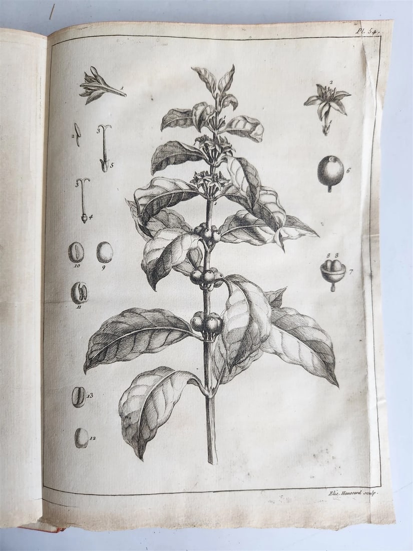 1750 MEDICAL TREATISE ILLUSTRATED ANATOMY by Francois PLANQUE antique V. 3 - 7