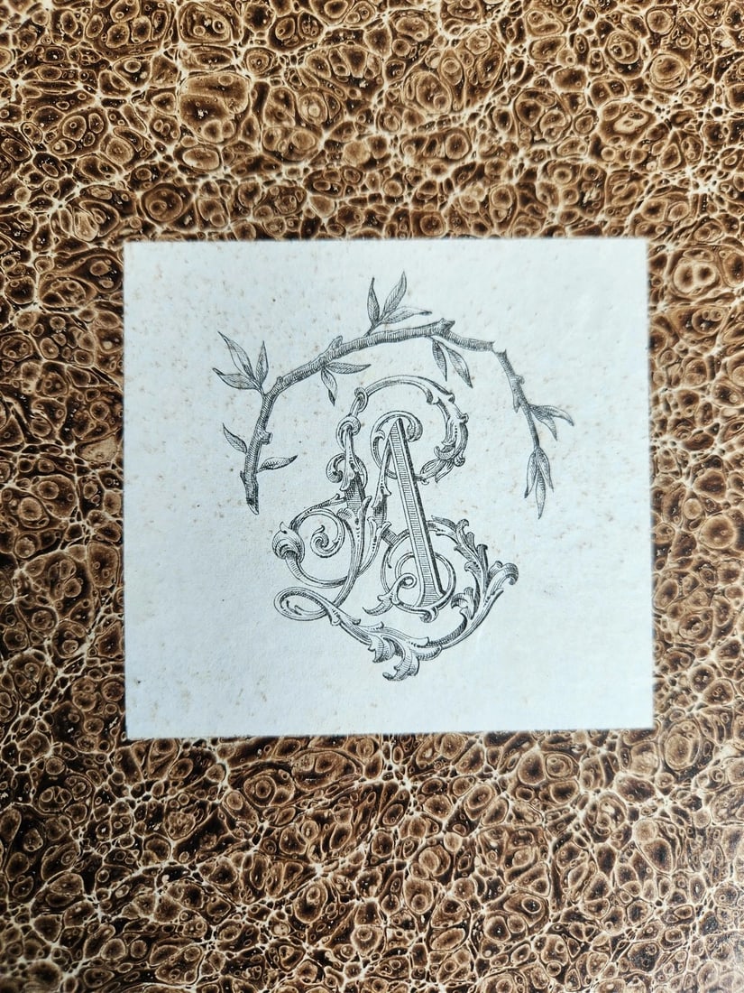 1881 VICTOR HUGO et SON TEMPS antique ILLUSTRATED in FRENCH - 5