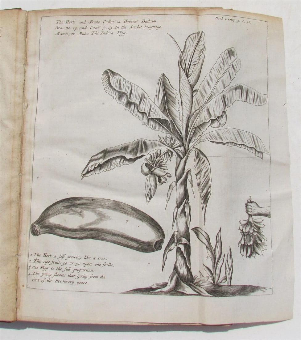 1682 HISTORY of ETHIOPIA KINGDOM OF ABESSINIA ILLUSTRATED antique in ENGLISH - 4