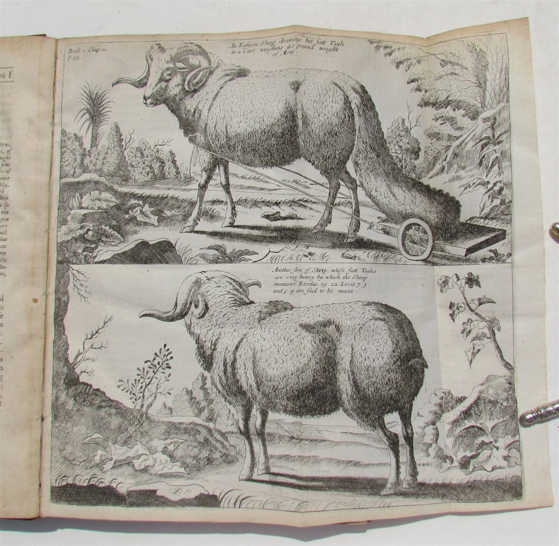 1682 HISTORY of ETHIOPIA KINGDOM OF ABESSINIA ILLUSTRATED antique in ENGLISH - 5