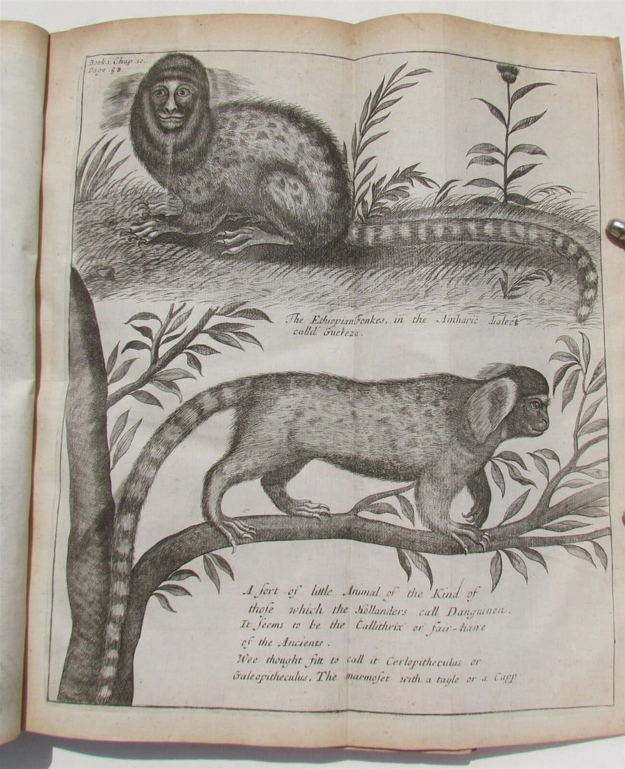 1682 HISTORY of ETHIOPIA KINGDOM OF ABESSINIA ILLUSTRATED antique in ENGLISH - 8