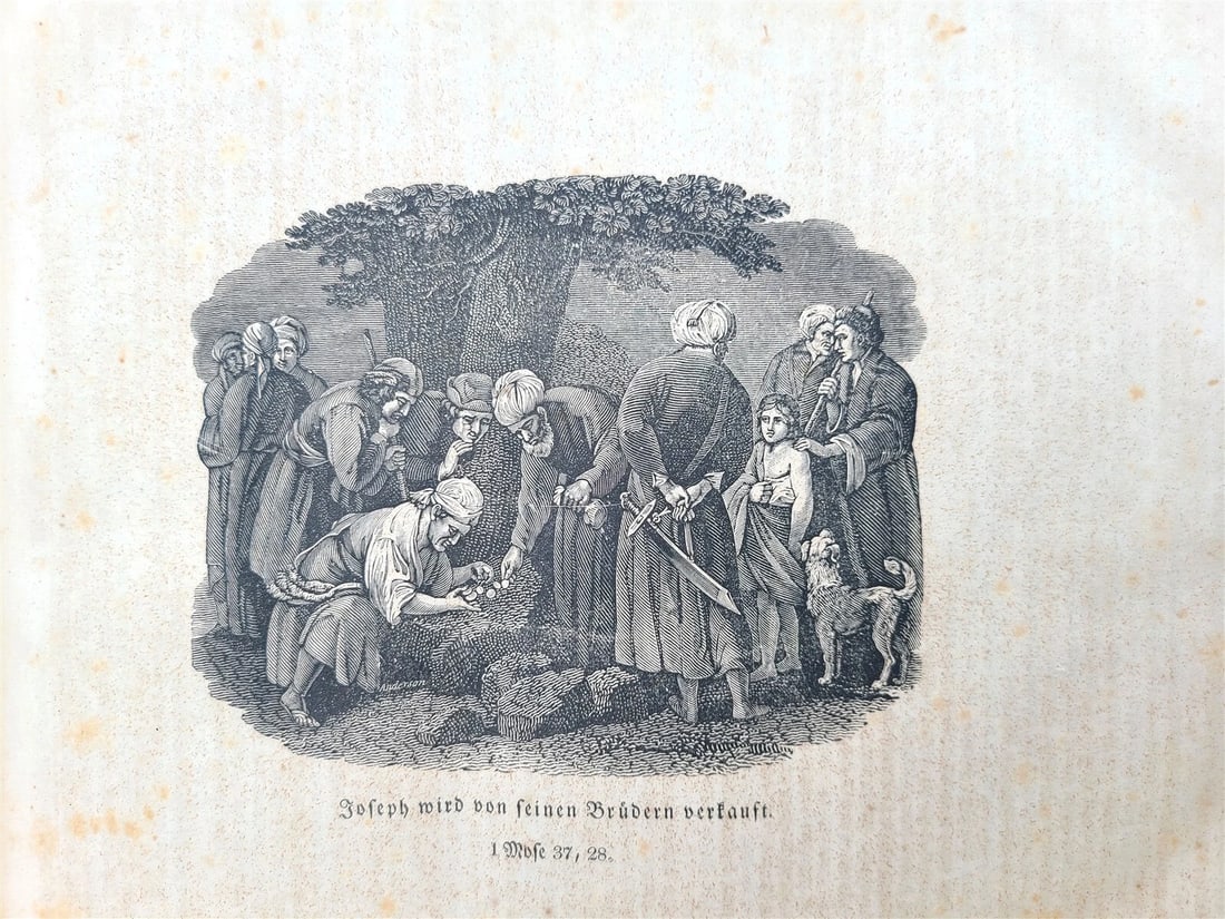 1829 BIBLE in GERMAN antique AMERICANA Philadelphia ILLUSTRATED w/ MAPS - 7