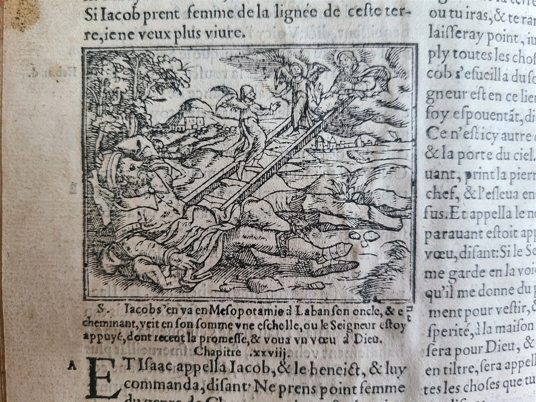 1550 BIBLE in FRENCH LOUVAIN ILLUSTRATED 16th CENTURY antique FOLIO rare - 5