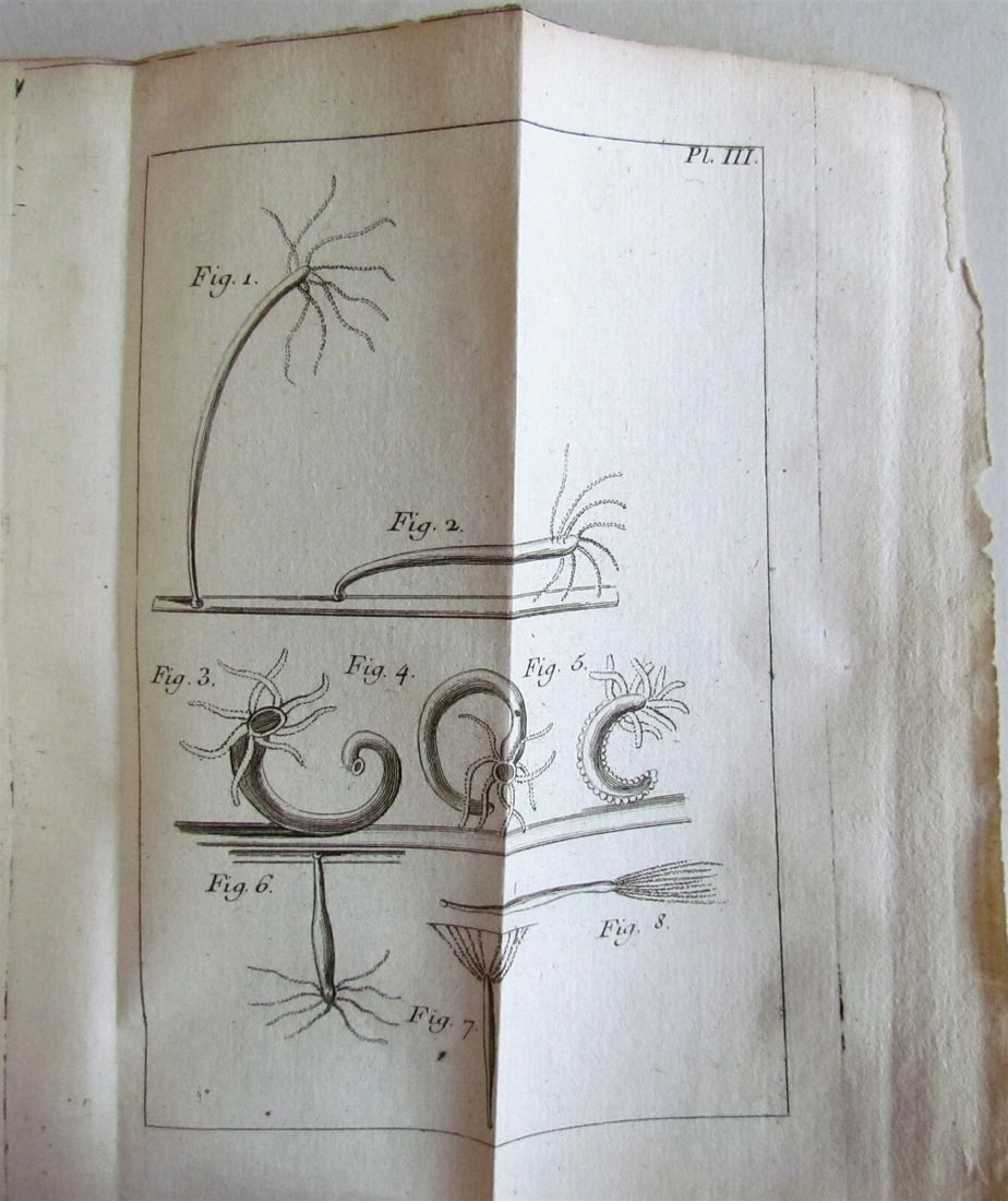 1744 NATURAL HISTORY of the POLYPES ILLUSTRATED w/ 22 engraved plates ANTIQUE - 5