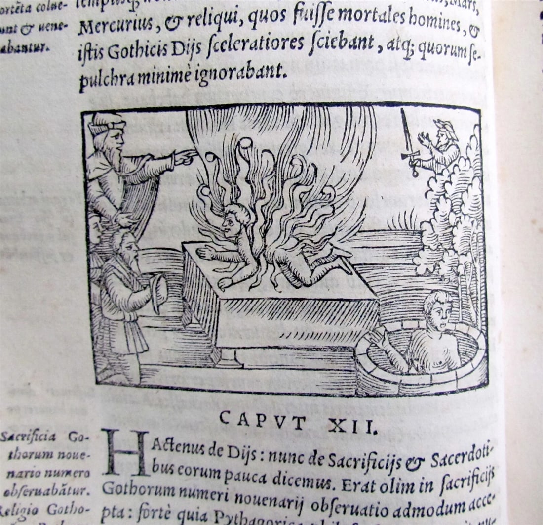 1558 SCANDINAVIA SWEDEN ILLUSTRATED HISTORY Gothorum Sveonumque historia antique - 6