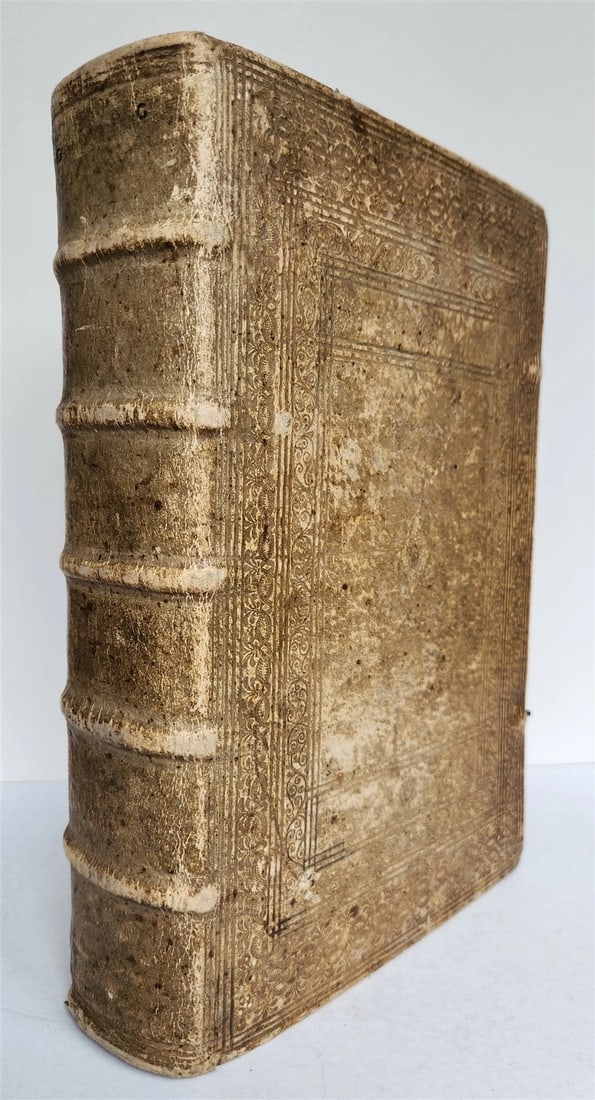 1665 OECONOMIA ILLUSTRATED antique hunting fishing livestock breeding PIGSKIN - 2