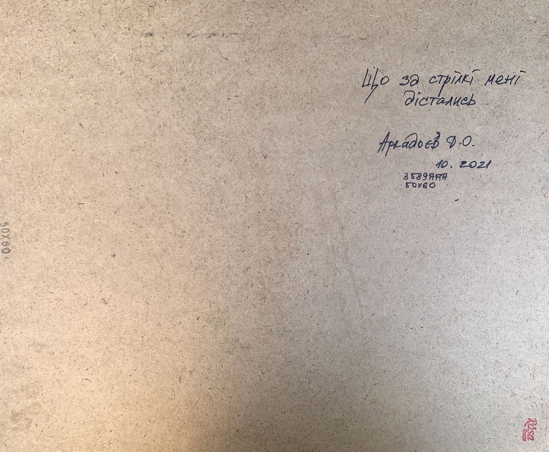 Oil painting What kind of arrows did I get Dmitry Arkadyev - 12