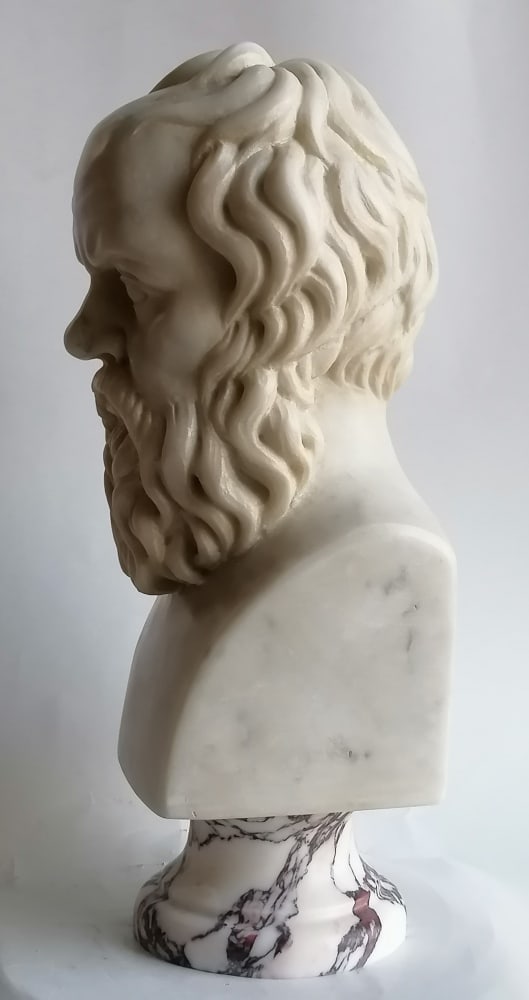 Socrate marble bust - 5