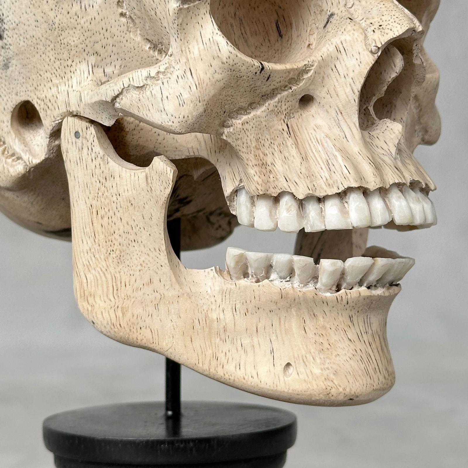 Stunning human skull with a beautiful grain on a custom stand - 10