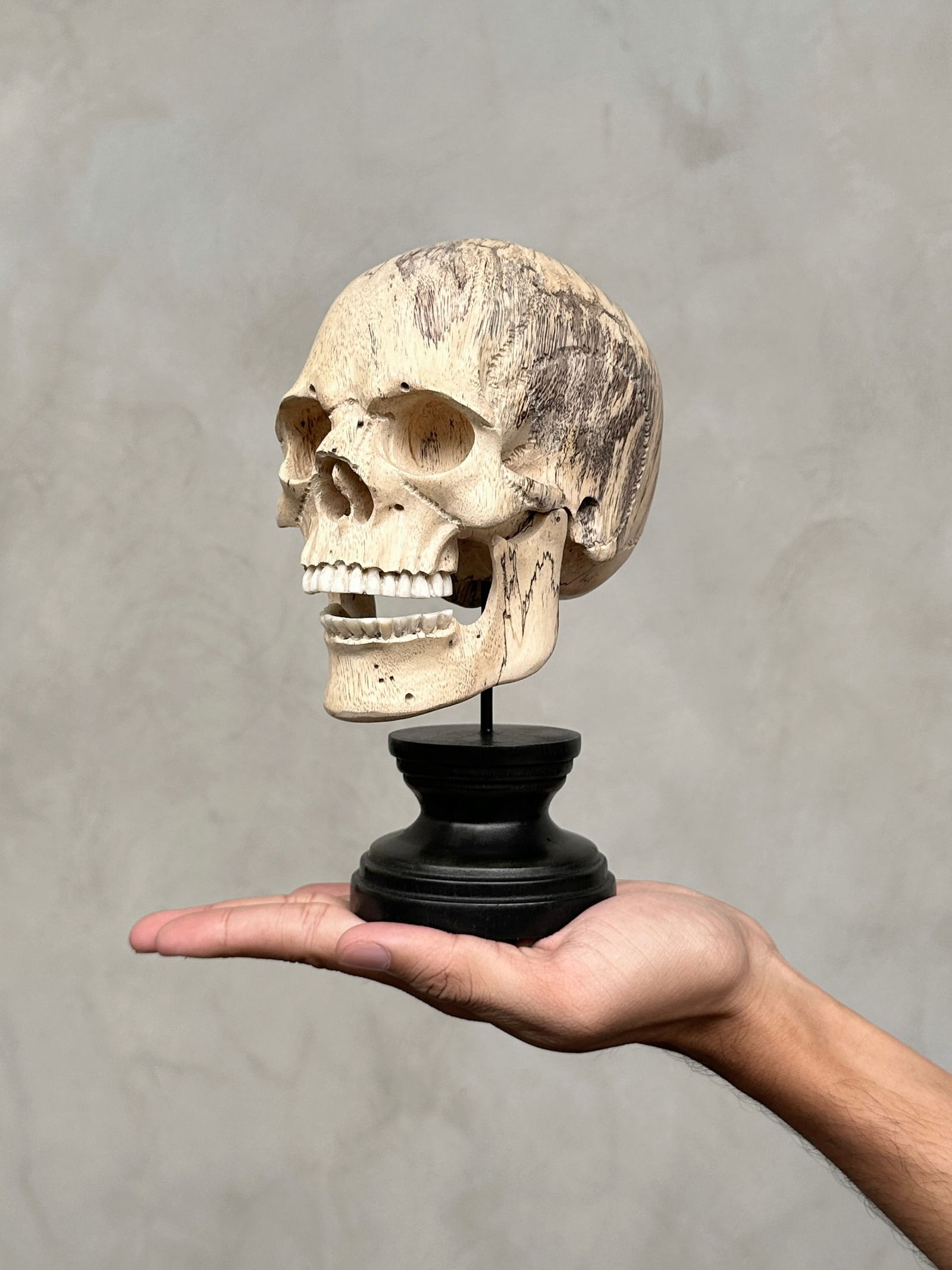 Stunning human skull with a beautiful grain on a custom stand: Title: Stunning human skull with a beautiful grain on a custom standMaker:UnknownOrigin: IndonesiaDate/Period:2025Materials:Tamarind Wood, Steel, WoodDimensions:Height incl. stand: 20 cm / 7.8 inches