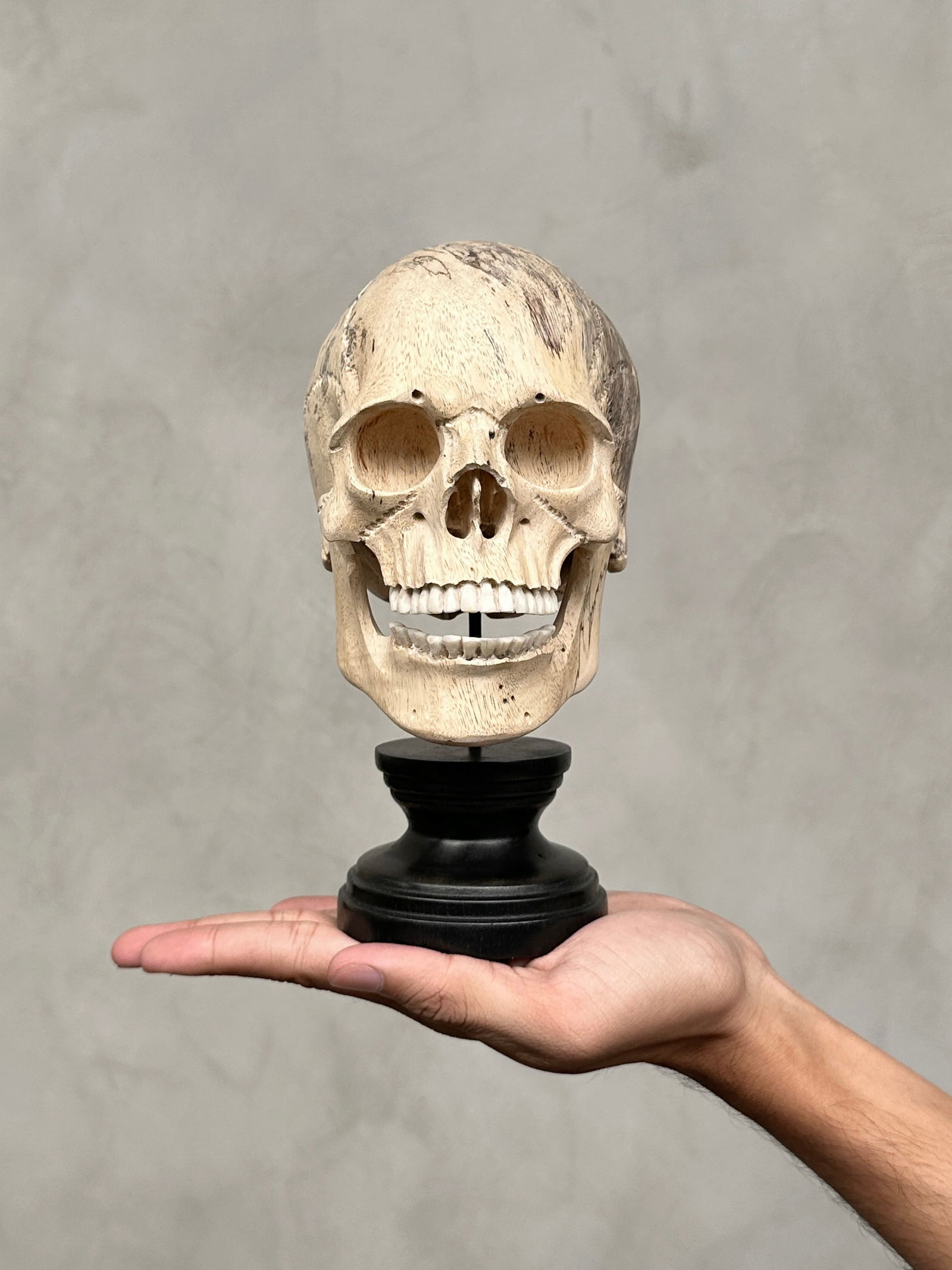 Stunning human skull with a beautiful grain on a custom stand - 2