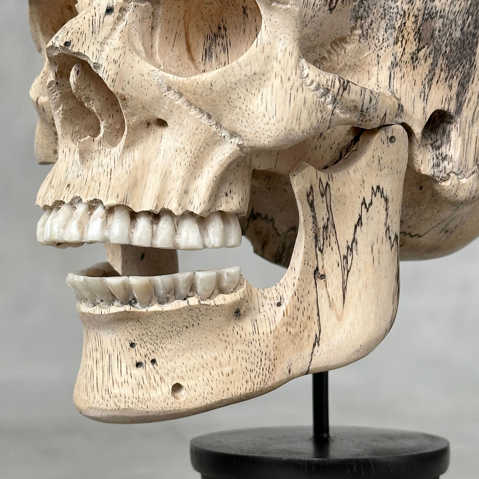 Stunning human skull with a beautiful grain on a custom stand - 4