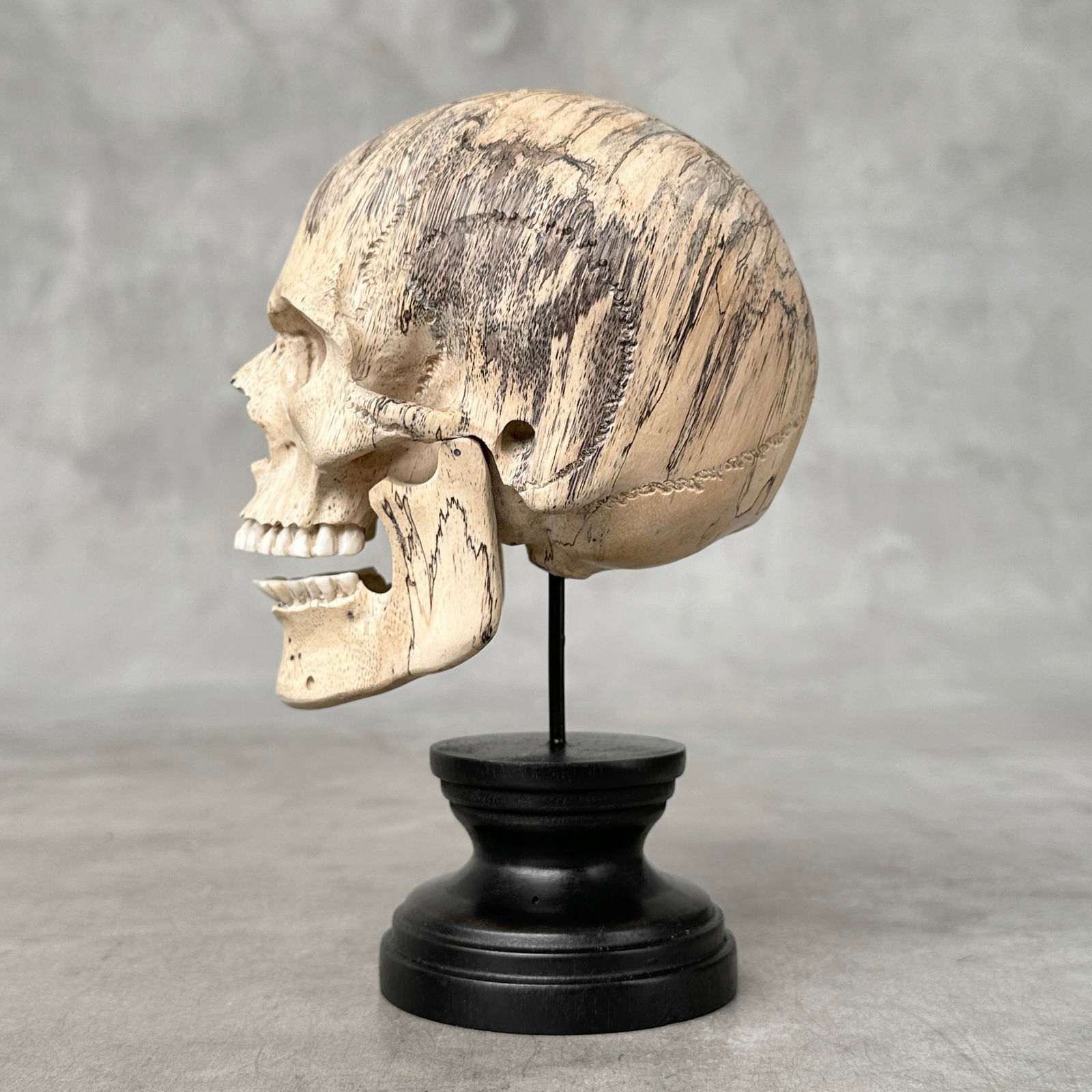 Stunning human skull with a beautiful grain on a custom stand - 6