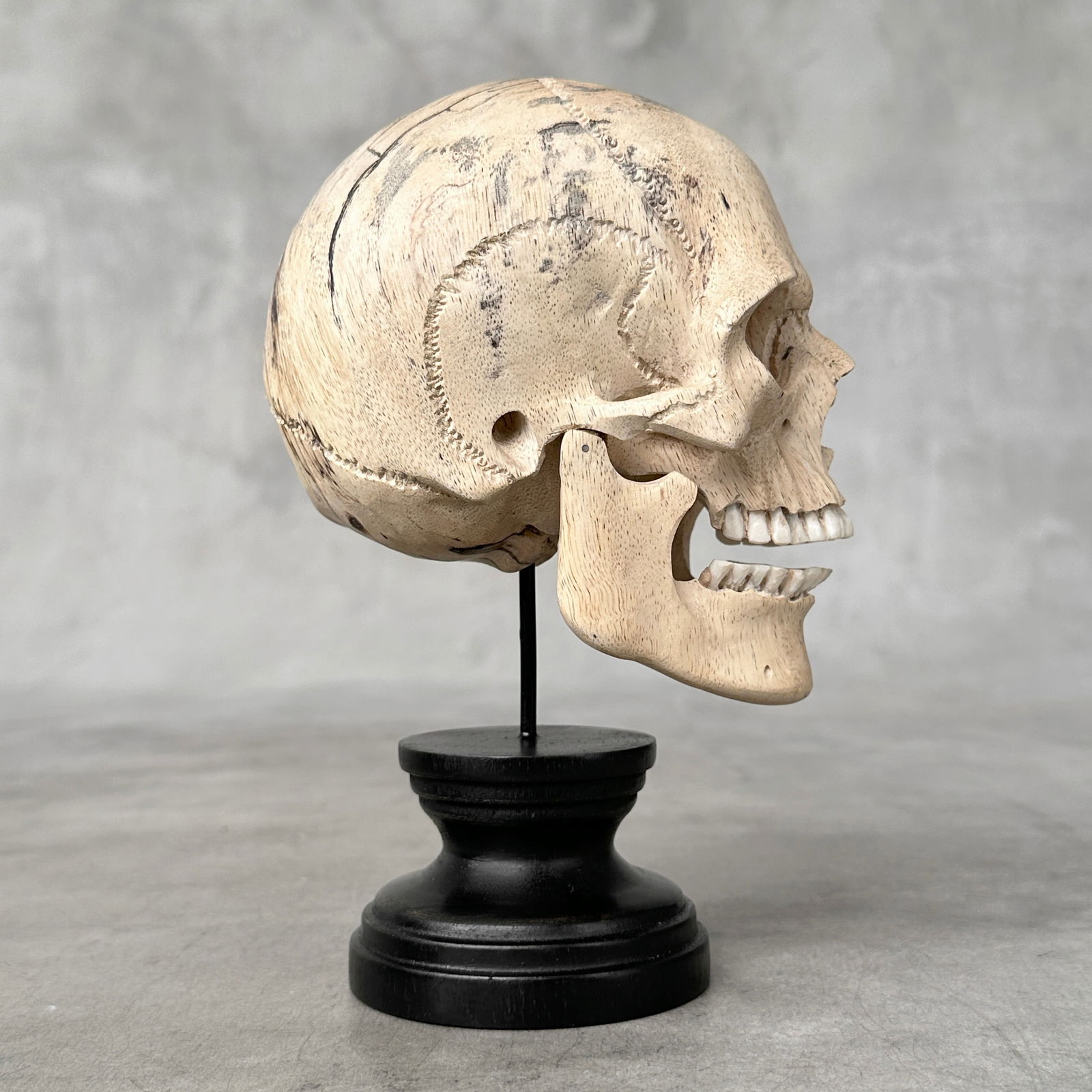 Stunning human skull with a beautiful grain on a custom stand - 8
