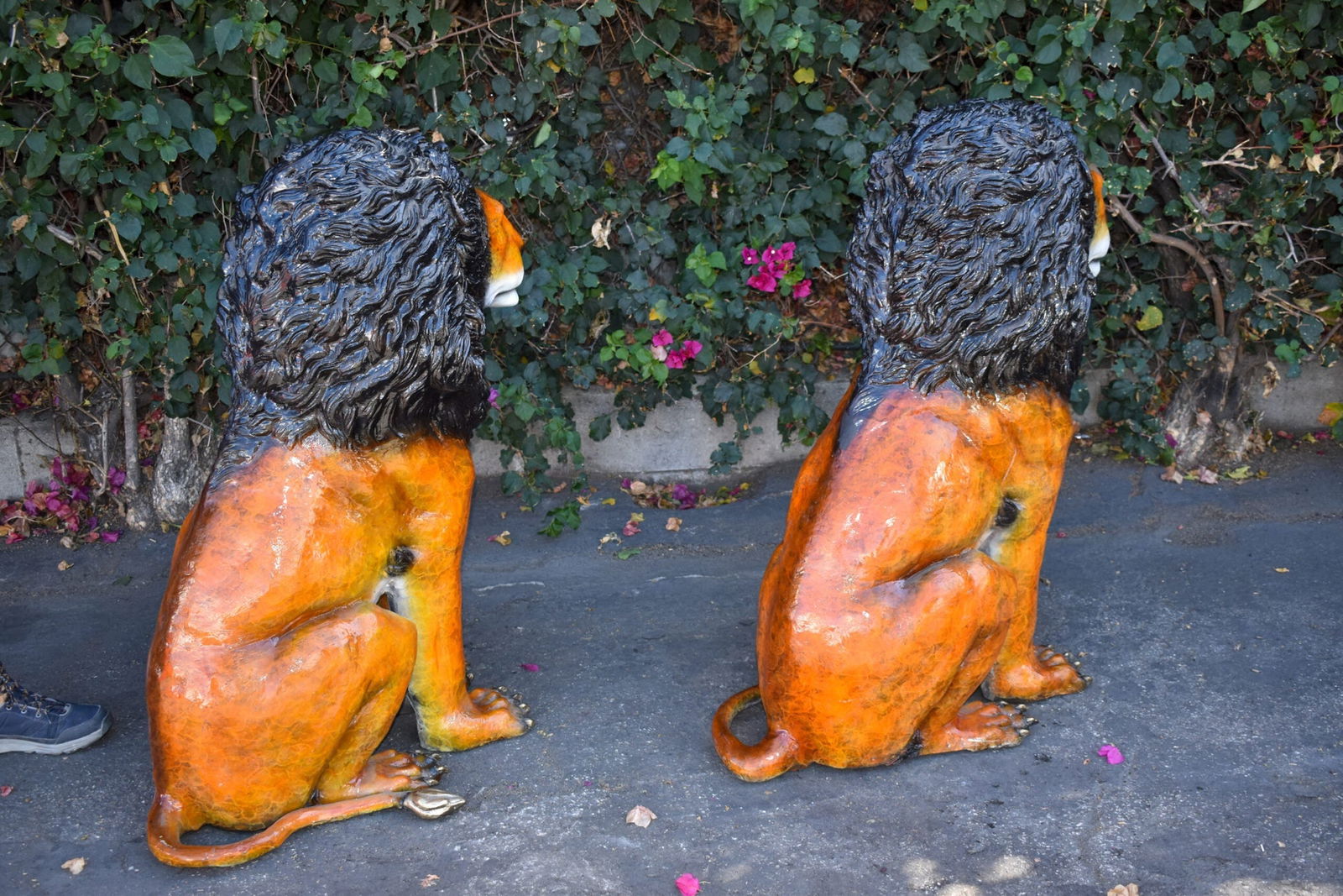 Pair Of Colored Standing Lions Made of Bronze Statue Size: 29" x 44" x 41"H - 3