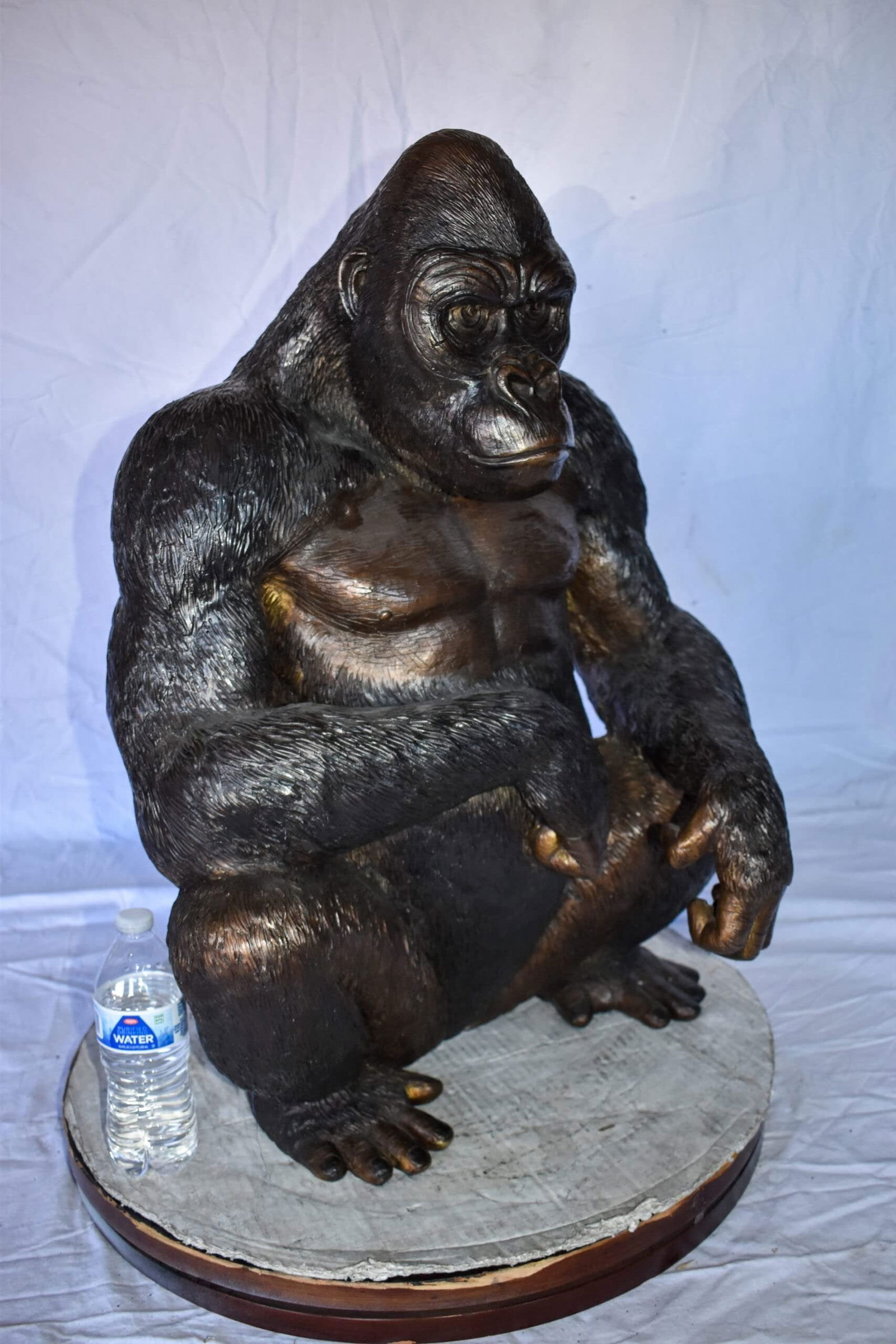 Gorilla Sitting Detailed and Impressive Bronze Statue Size: 22" x 16" x 30"H - 5