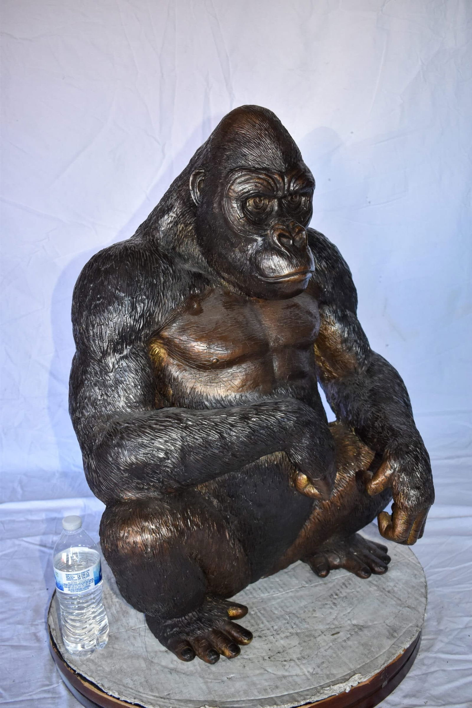 Gorilla Sitting Detailed and Impressive Bronze Statue Size: 22" x 16" x 30"H - 6