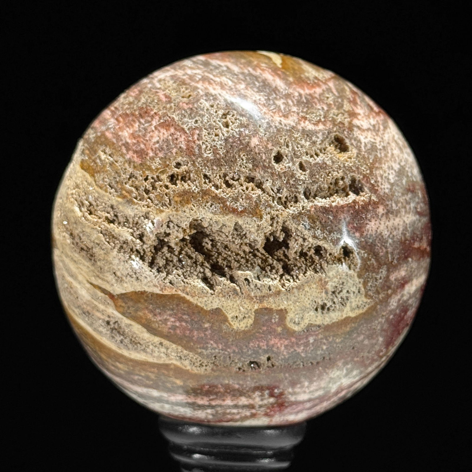 Stunning set of 3 Petrified wood spheres on stands - 2