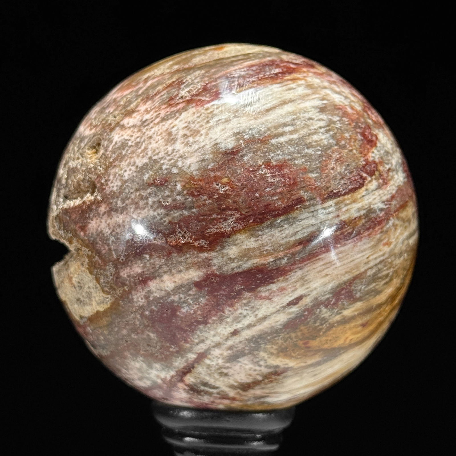 Stunning set of 3 Petrified wood spheres on stands - 3