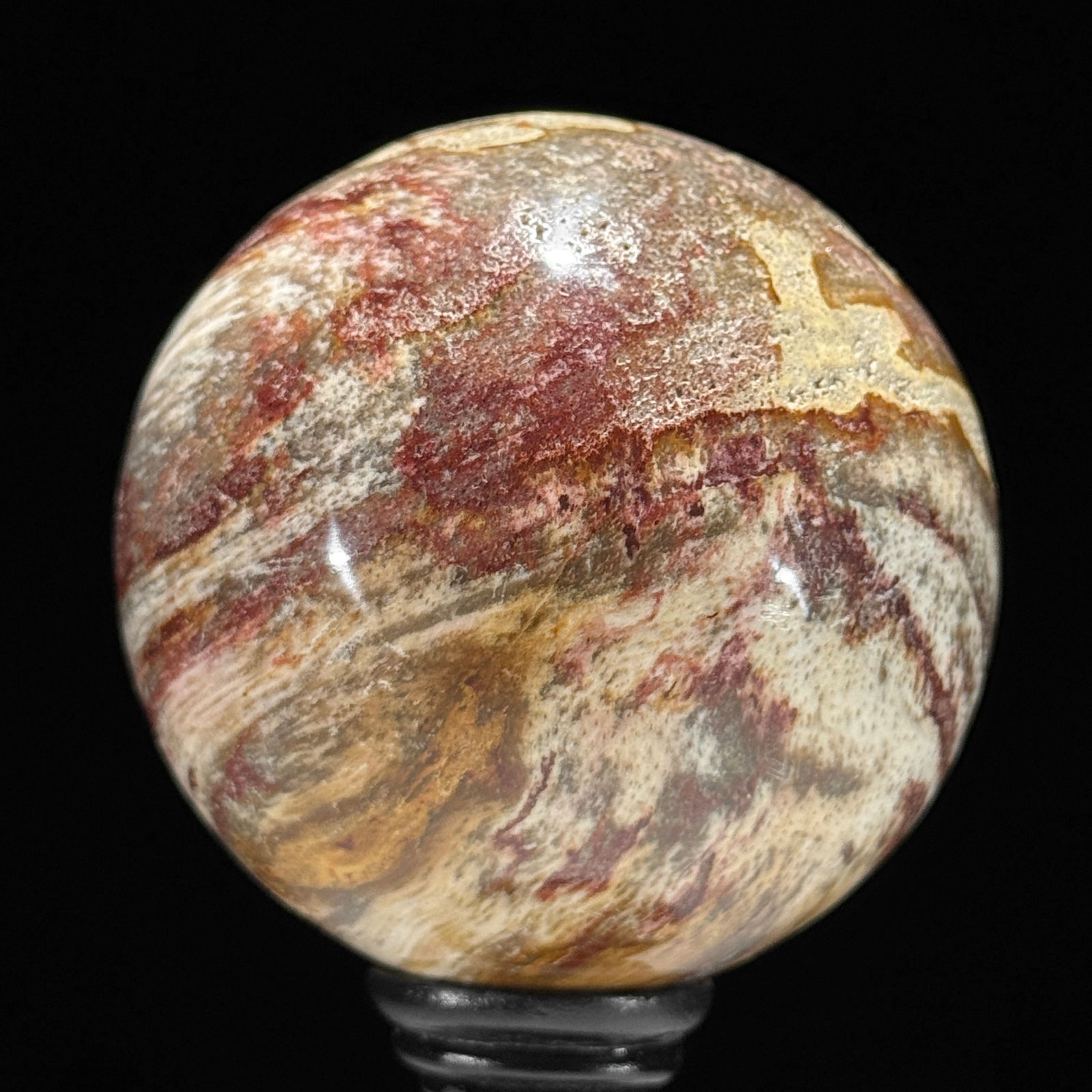Stunning set of 3 Petrified wood spheres on stands - 4