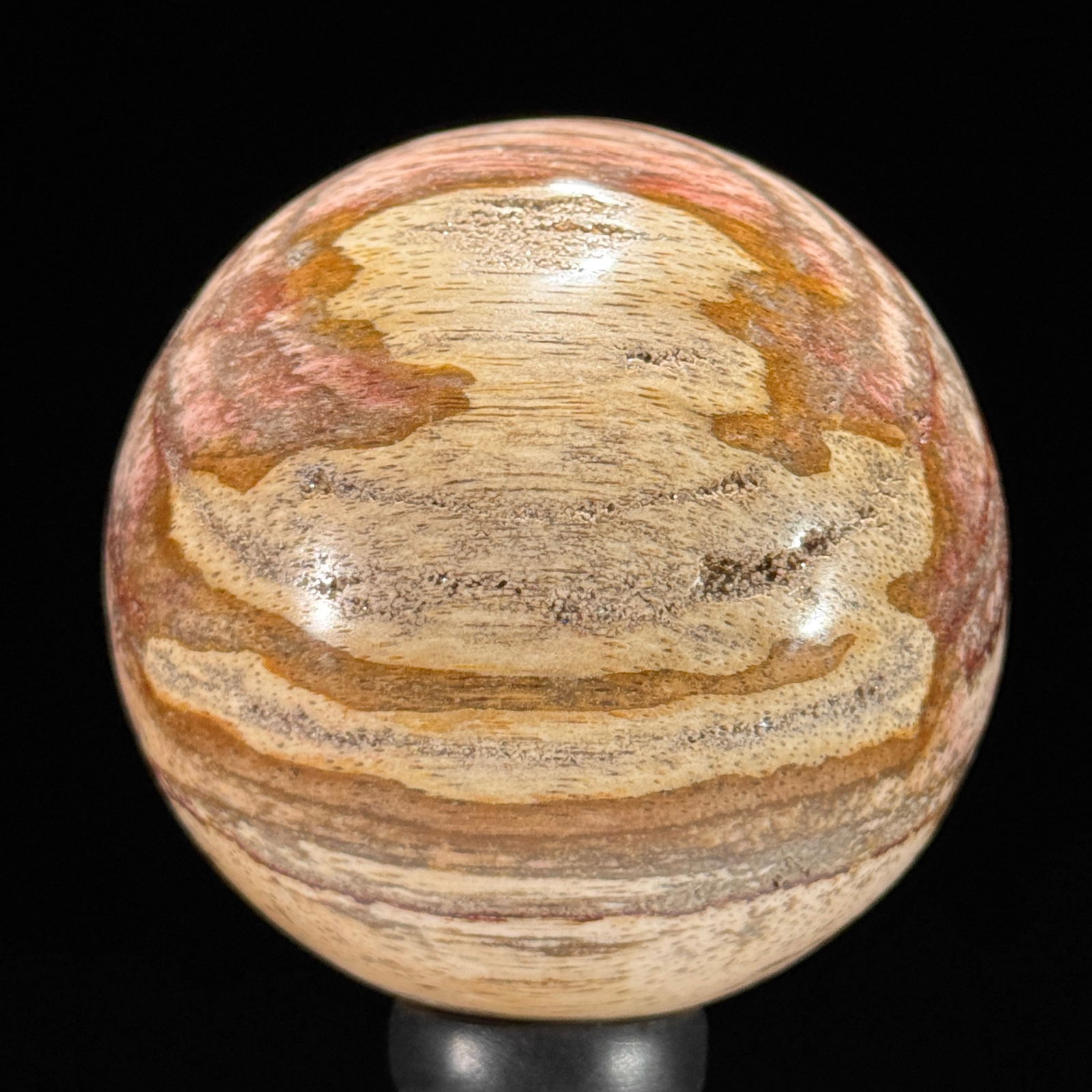 Stunning set of 3 Petrified wood spheres on stands - 5