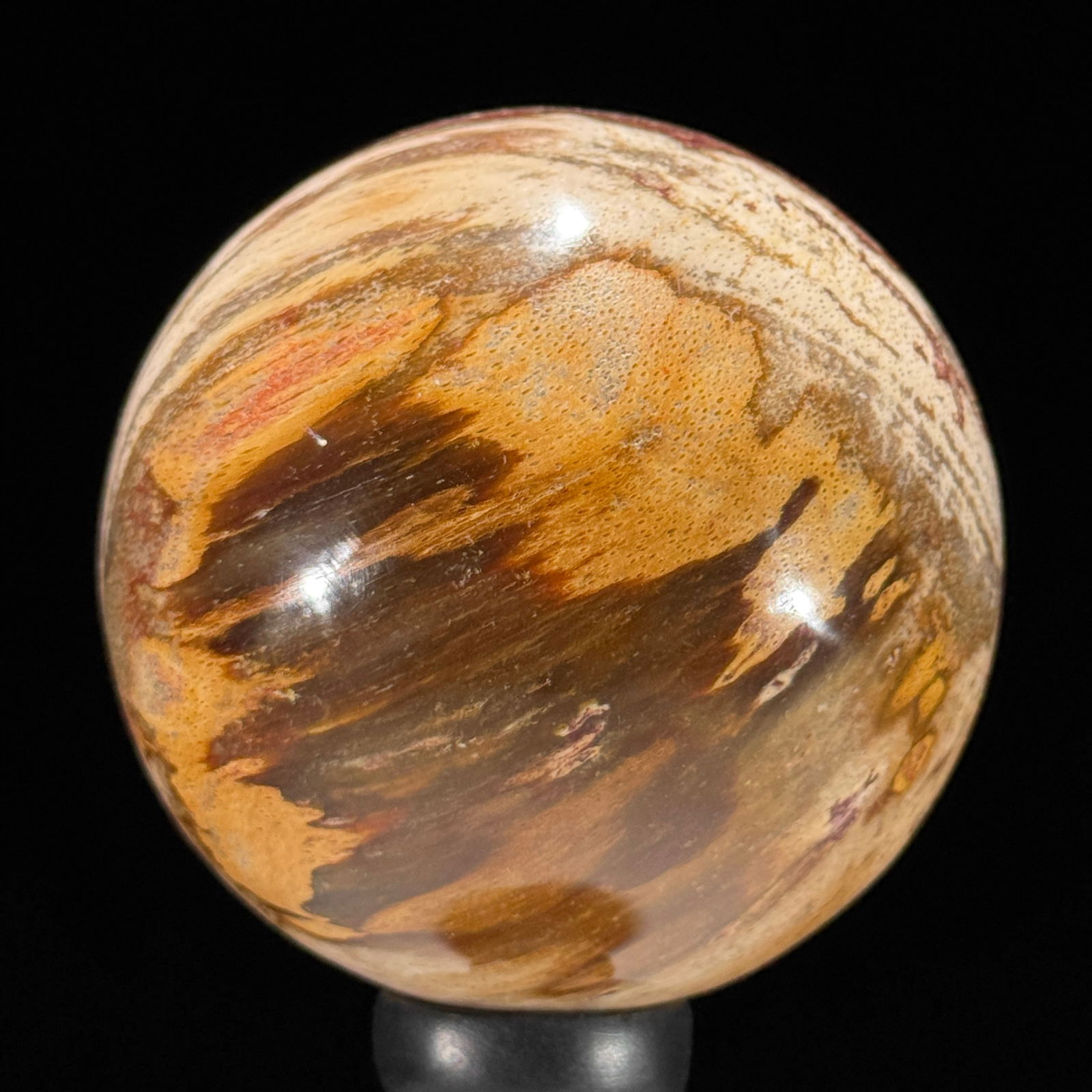 Stunning set of 3 Petrified wood spheres on stands - 6
