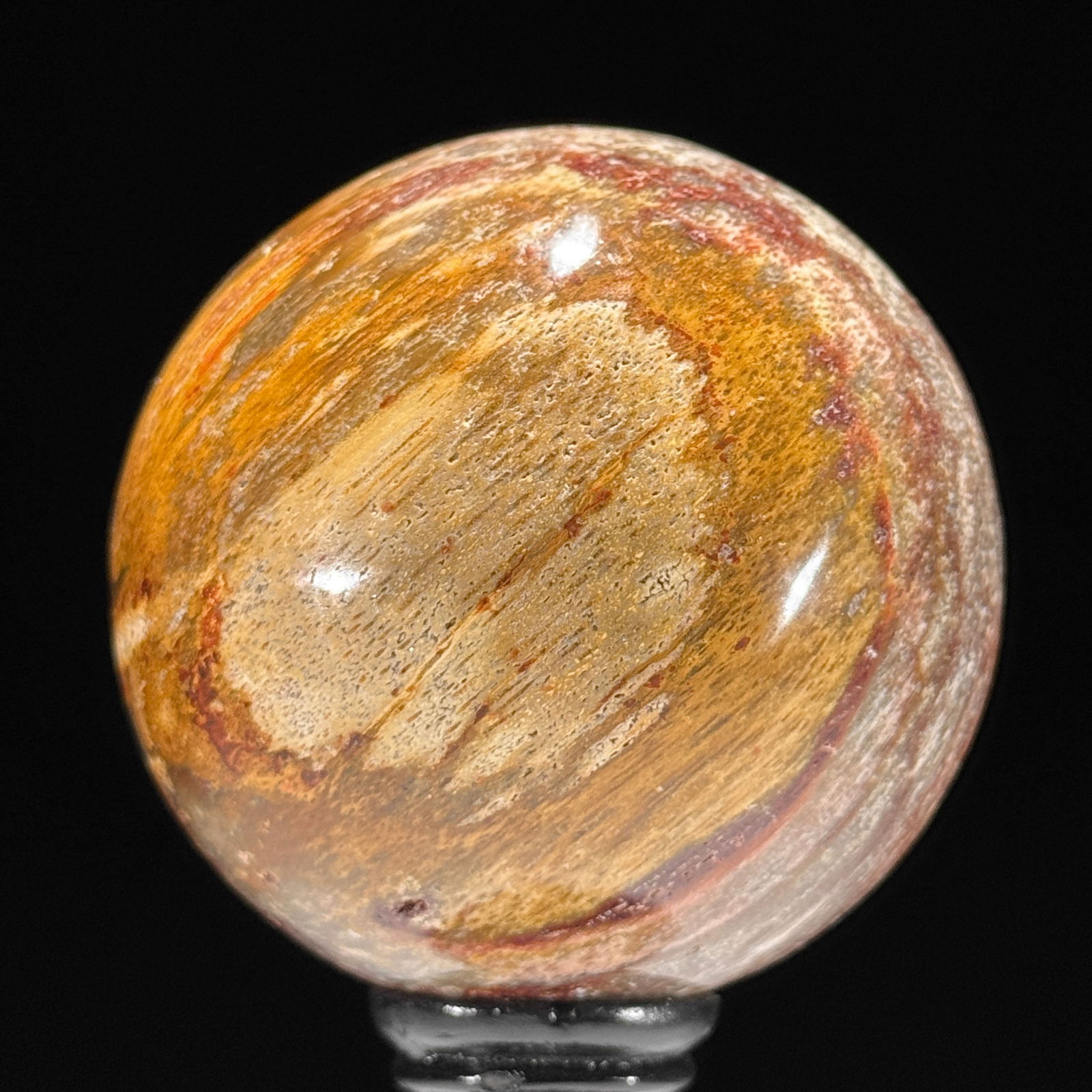Stunning set of 3 Petrified wood spheres on stands - 8