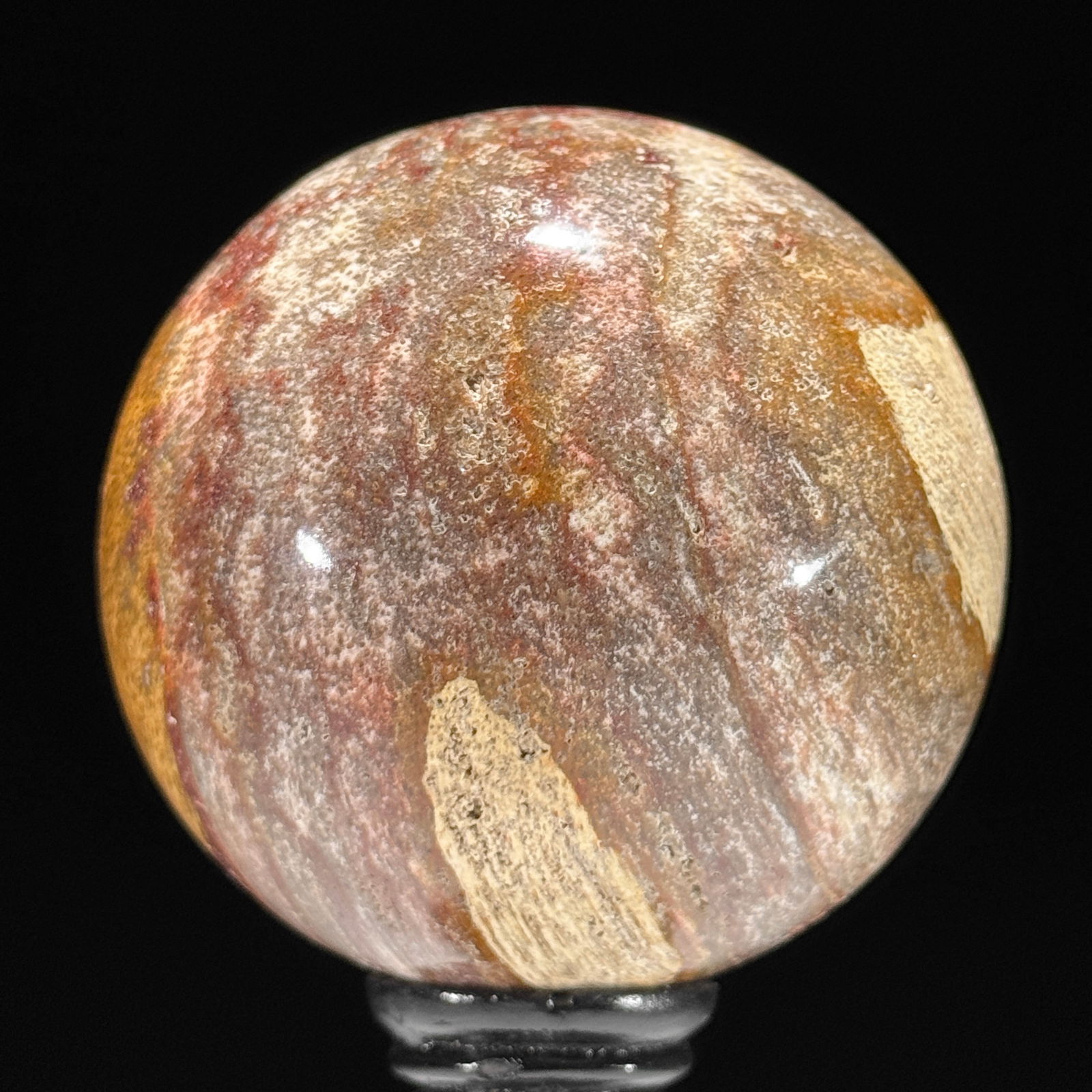 Stunning set of 3 Petrified wood spheres on stands - 9