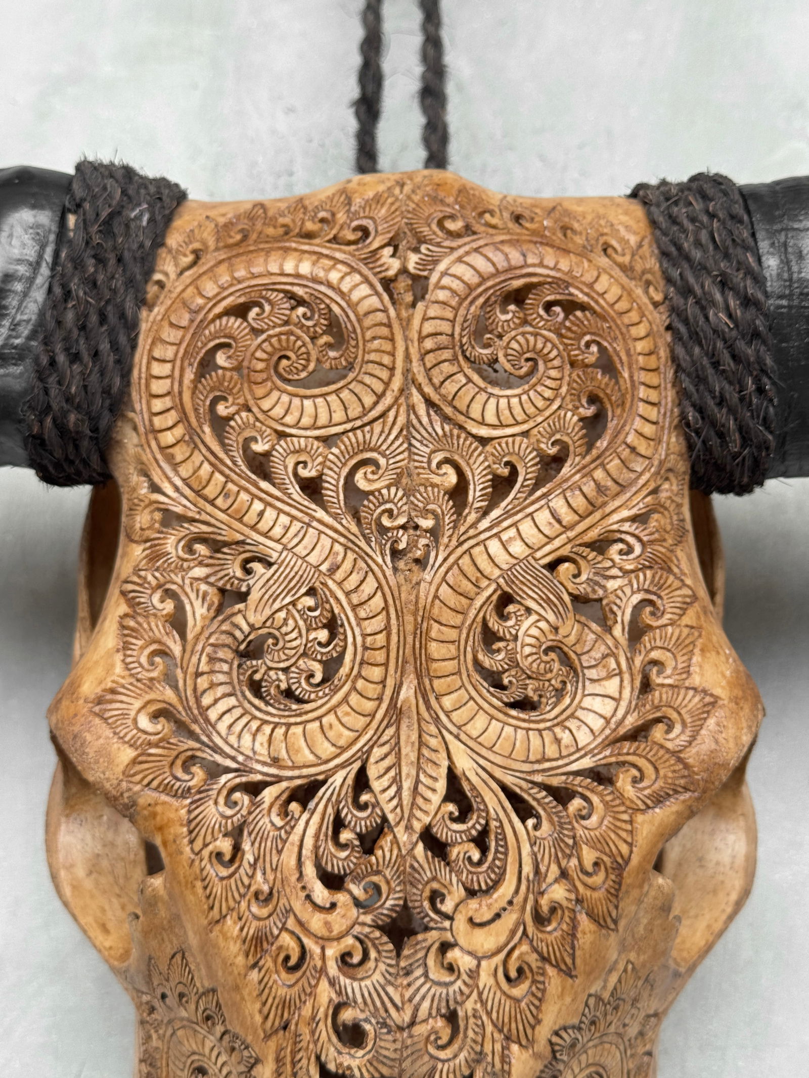 Brown carved buffalo skull - Leaf motif - 3
