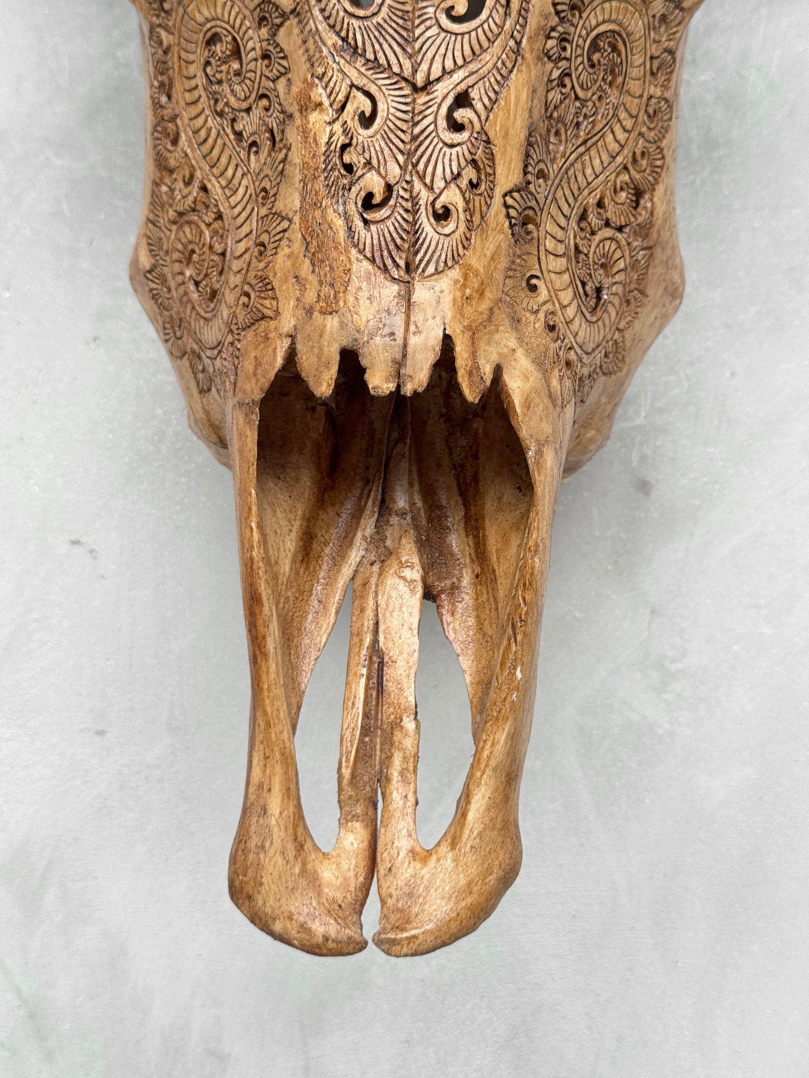 Brown carved buffalo skull - Leaf motif - 4