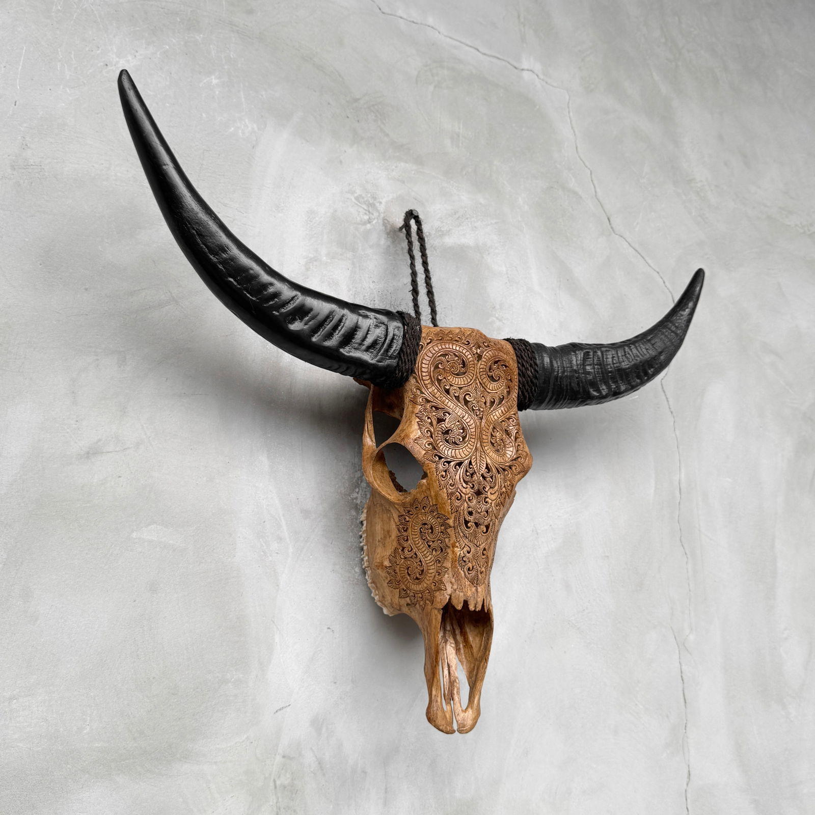 Brown carved buffalo skull - Leaf motif - 5