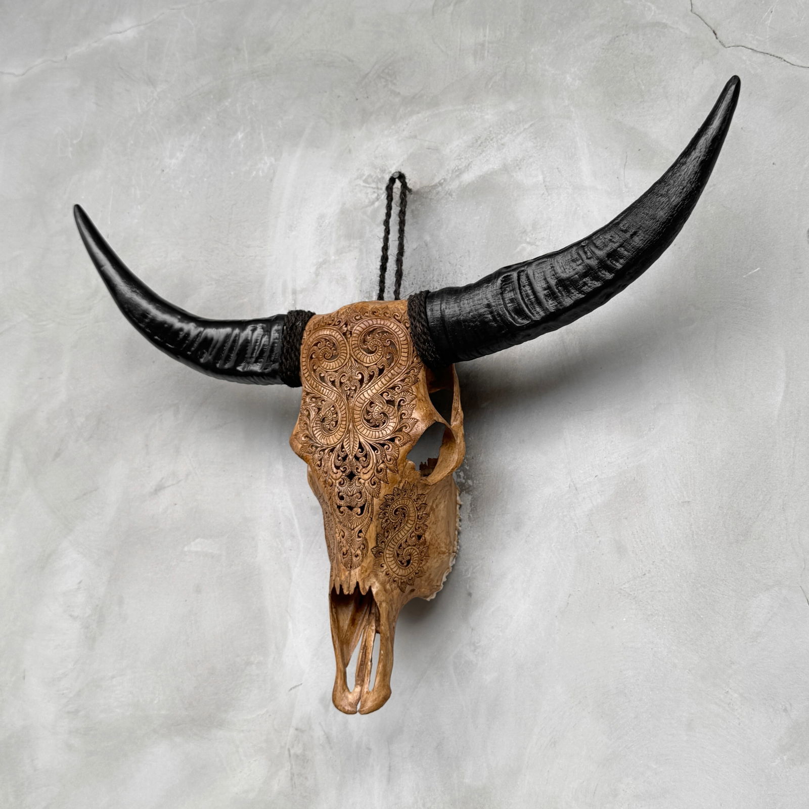 Brown carved buffalo skull - Leaf motif - 7