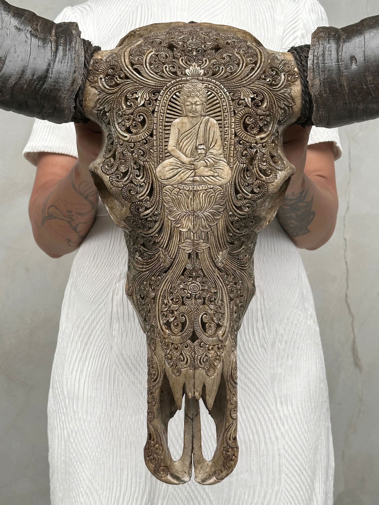 Carved water buffalo skull - Buddha motif - 10