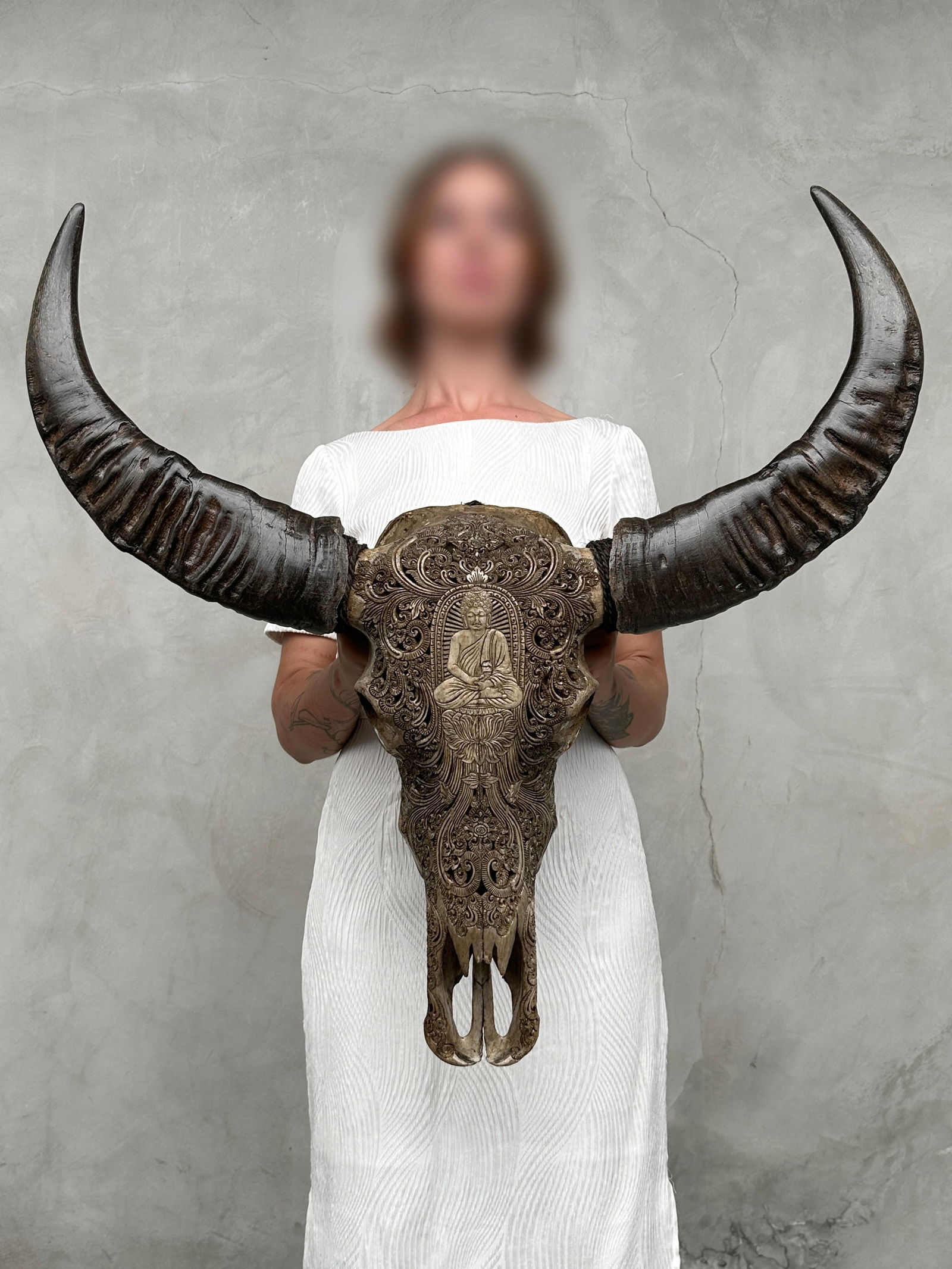 Carved water buffalo skull - Buddha motif: Title: Carved water buffalo skull - Buddha motif Maker:Unknown Origin: Indonesia Date/Period:2025 Materials:Bubalus Bubalis, bone, horn Dimensions:Height: 75 cm / 29.5 inches. Length: 78 cm / 30.7 inc