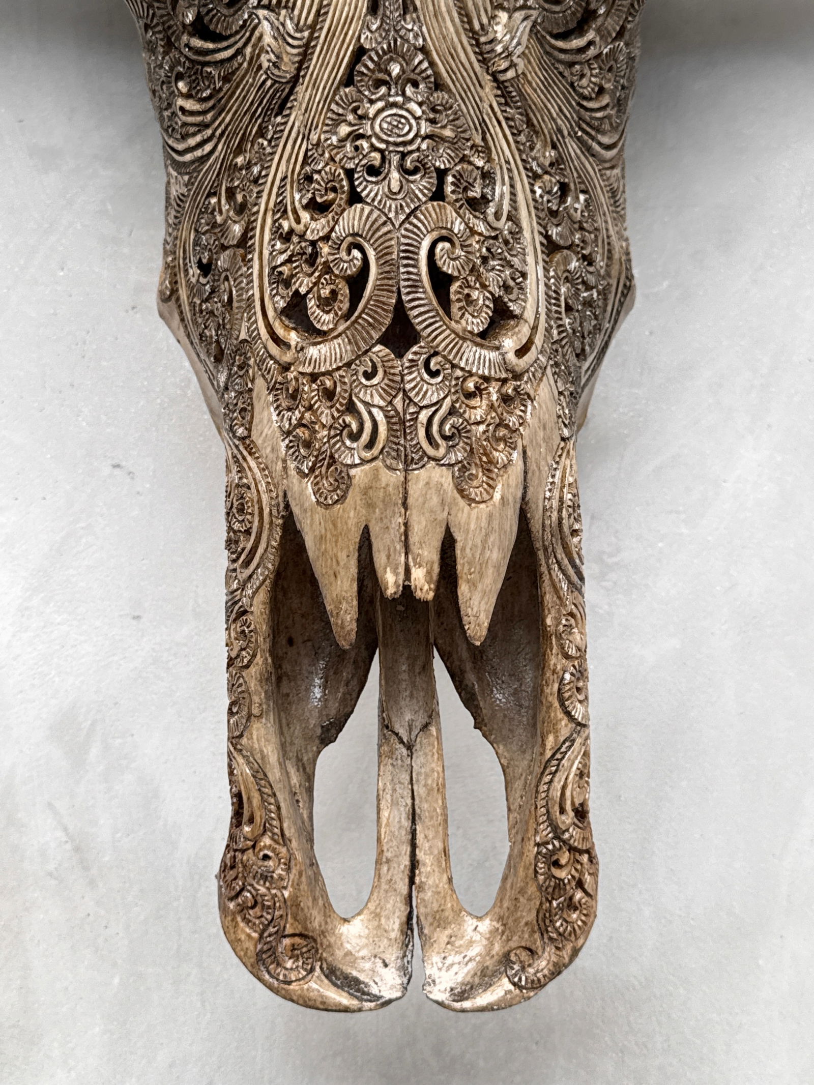 Carved water buffalo skull - Buddha motif - 4