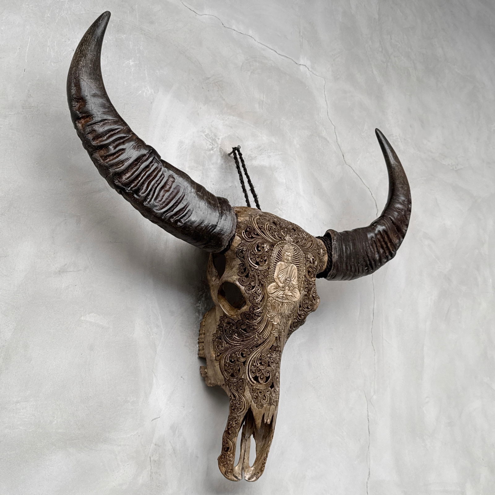 Carved water buffalo skull - Buddha motif - 5