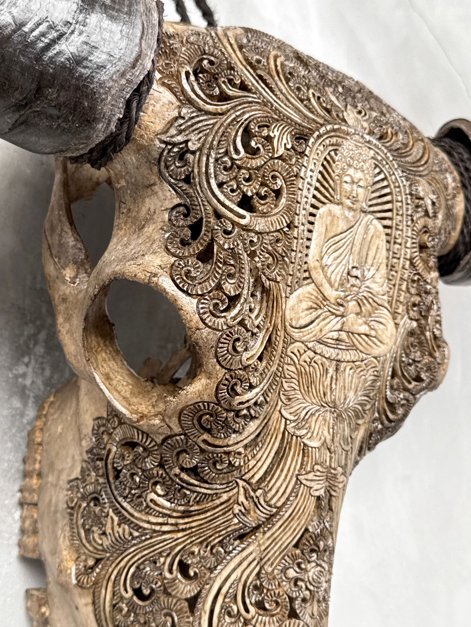 Carved water buffalo skull - Buddha motif - 6