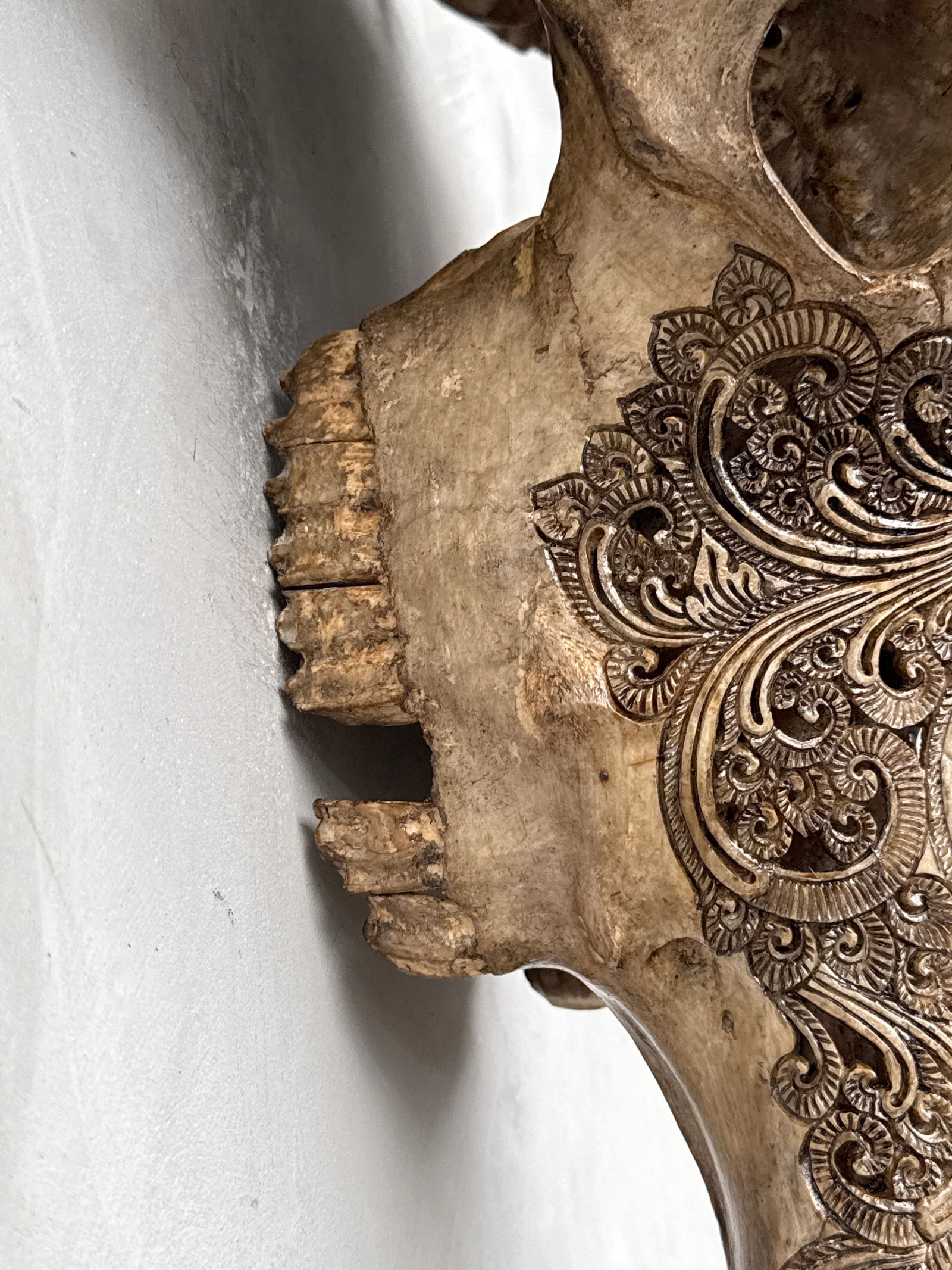 Carved water buffalo skull - Buddha motif - 7