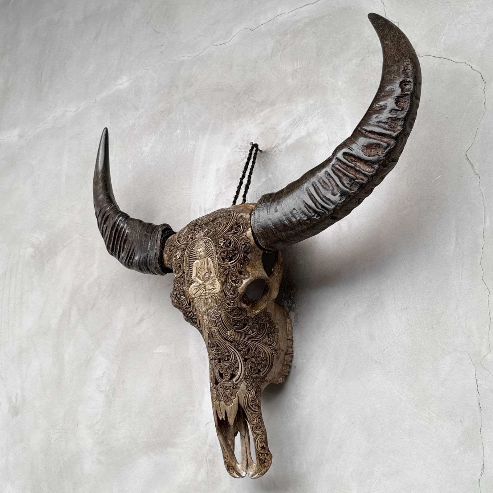 Carved water buffalo skull - Buddha motif - 8