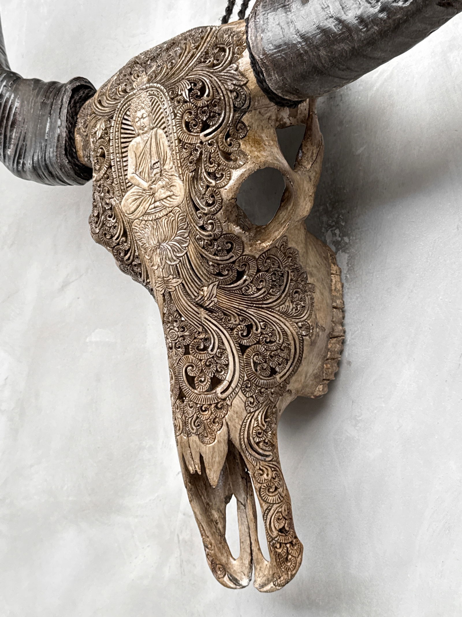 Carved water buffalo skull - Buddha motif - 9