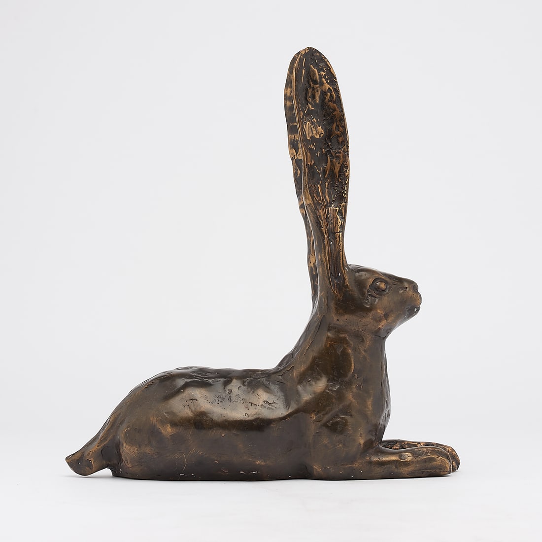 Resting hare ears up - 3