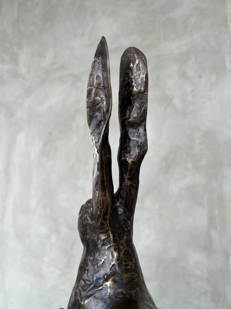 Resting hare ears up - 7