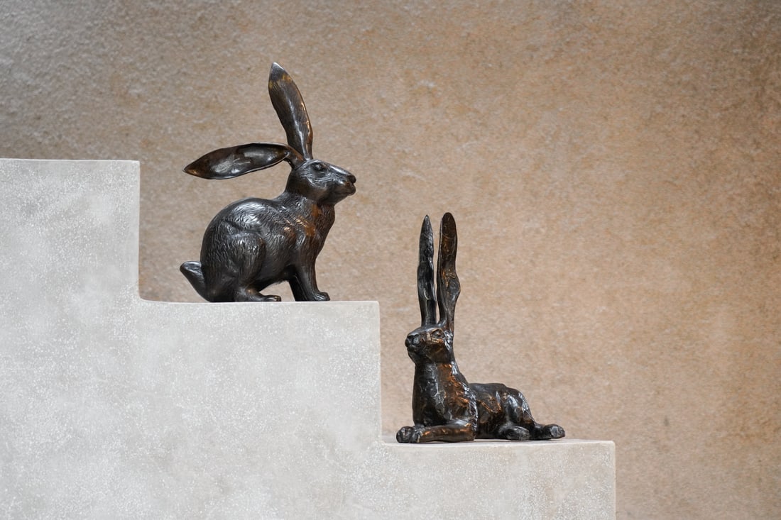 Resting hare ears up - 8