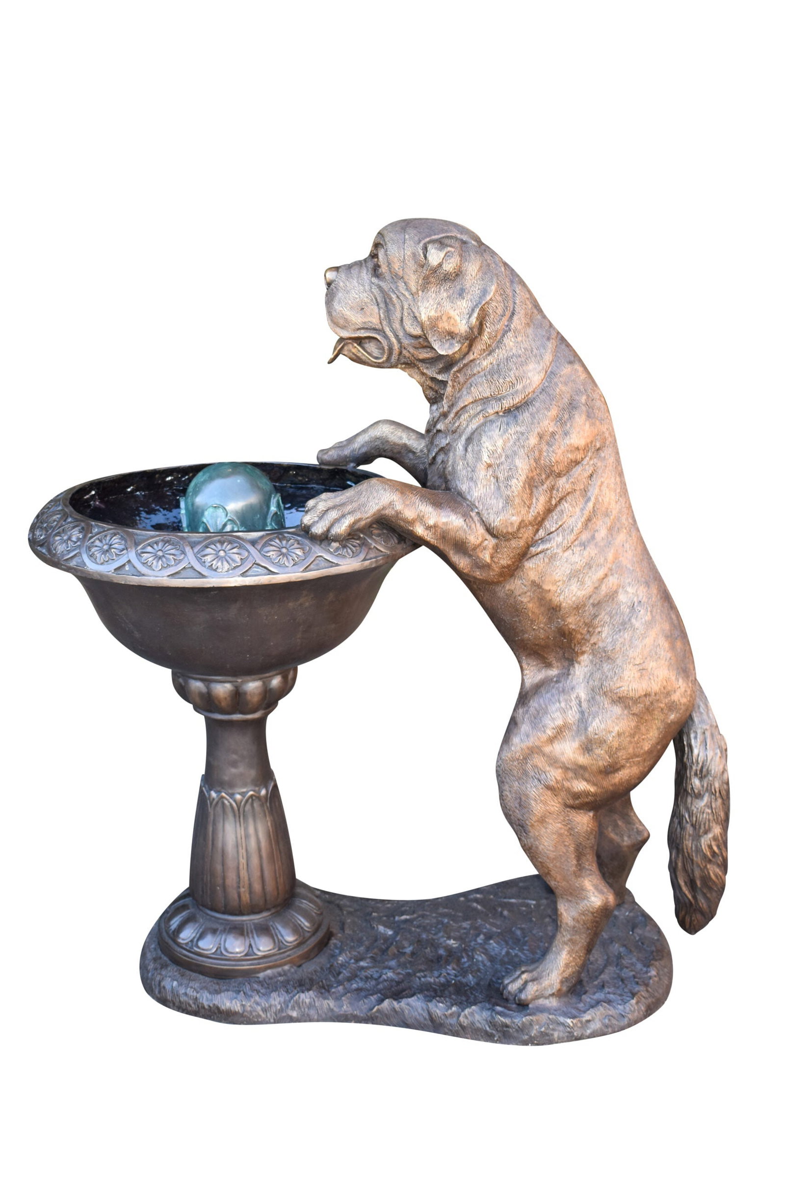San Bernard Dog Drinking from A Water Fountain Bronze Statue 43" x 25" x 50"H: Title:San Bernard Dog Drinking from A Water Fountain Bronze Statue 43" x 25" x 50"H Description:When you see this comical, piped bronze, San Bernard statue seemingly drinking out of a water fountain,