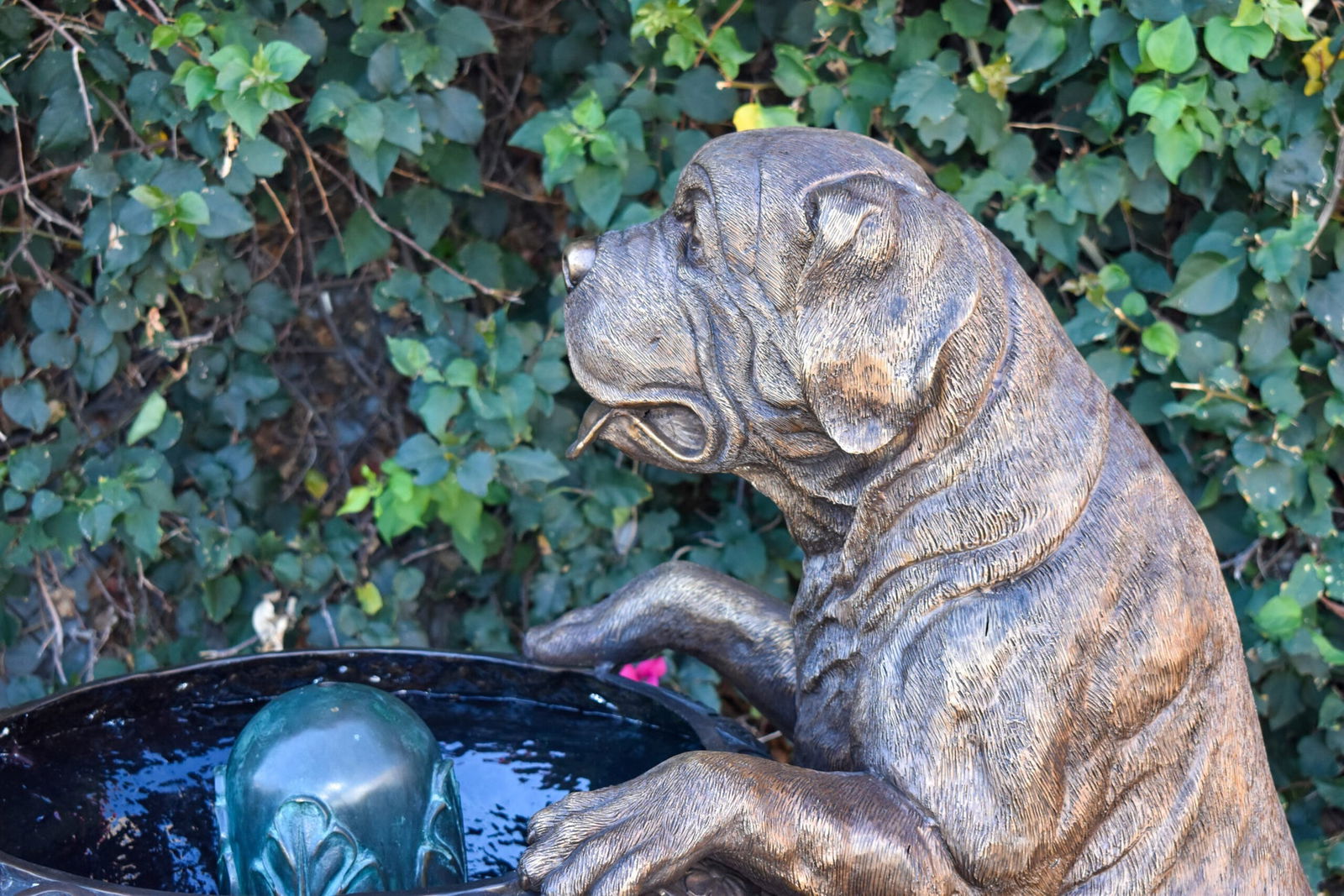 San Bernard Dog Drinking from A Water Fountain Bronze Statue 43" x 25" x 50"H - 5